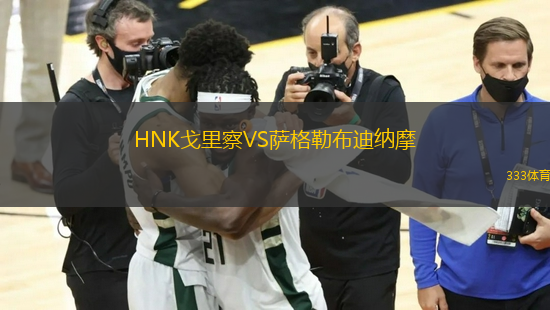 HNK戈里察VS萨格勒布迪纳摩