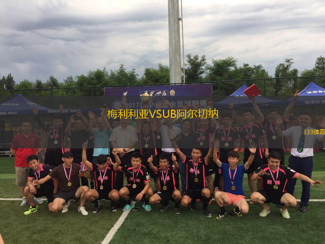 梅利利亚VSUB阿尔切纳