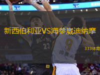 新西伯利亚VS海参崴迪纳摩