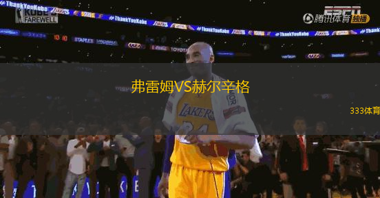 弗雷姆VS赫尔辛格