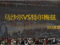 马沙尔VS特尔梅兹