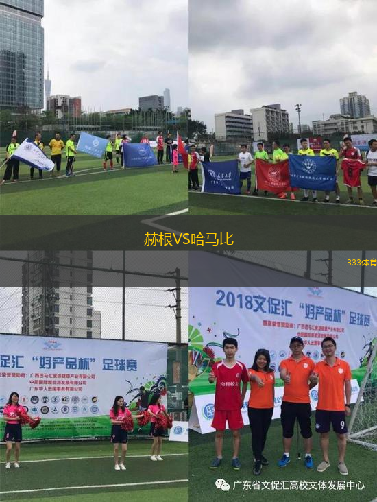 赫根VS哈马比