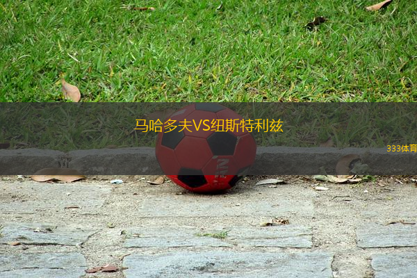马哈多夫VS纽斯特利兹