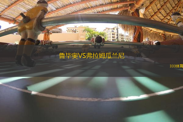 鲁毕奥VS弗拉姆瓜兰尼