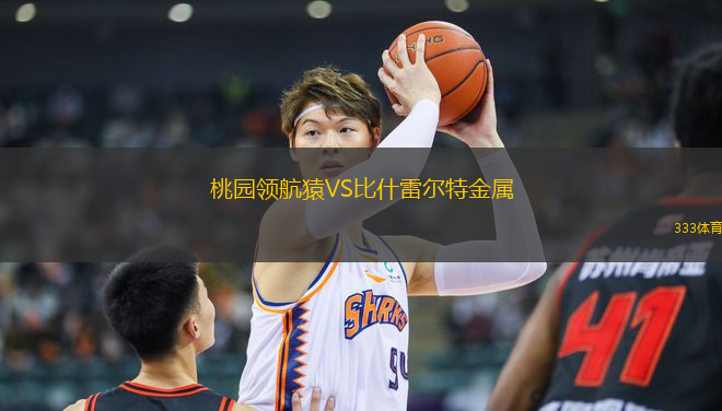 桃园领航猿VS比什雷尔特金属