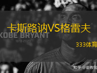 卡斯路讷VS格雷夫