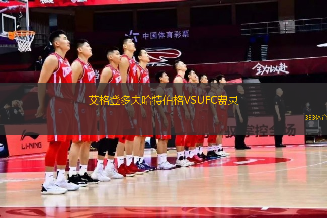 艾格登多夫哈特伯格VSUFC费灵